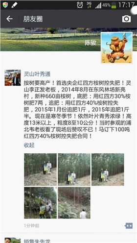 红四方桉树专用控失肥