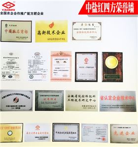 中盐红四方荣获众多荣誉