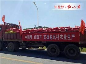 湖南株洲朱亭镇龙凤村村部大院外，悬挂“中国梦 红四方 志愿龙凤村农业生产”等横幅、装满红四方肥料的大货车，威武地停靠在路边。
