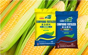 红四方玉米控失肥
