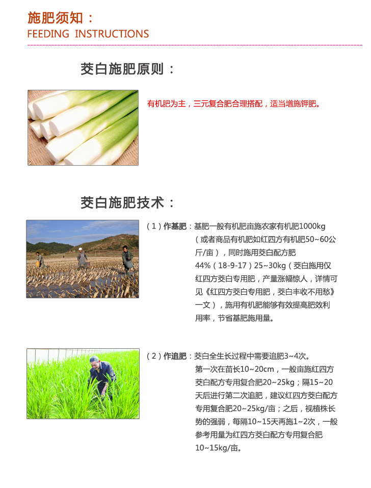 茭白配方肥施肥须知
