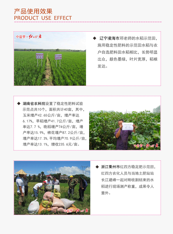 红四方稳定性复合肥46%（17-17-12）产品使用效果图1