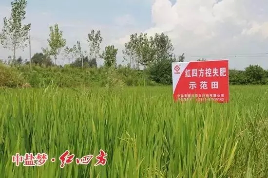 六安红四方控失肥 六安红四方控失肥