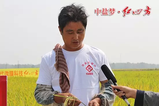 孟祥保告诉我们，3年前他开始大面积承包农田，在肥料的选择上，他慎之又慎，通过考察最终锁定了红四方肥料