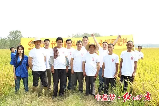 这片红四方示范田只在前期施用底肥，后期没有追肥，节省了大量的成本和投入