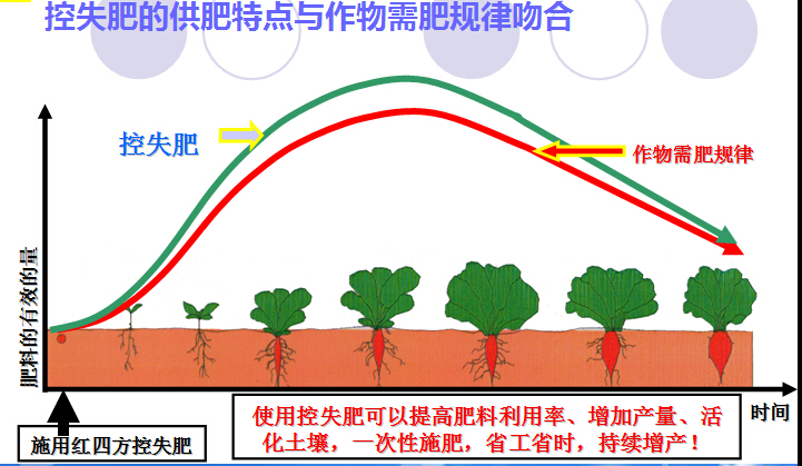 控失肥供肥特点 控失肥供肥特点