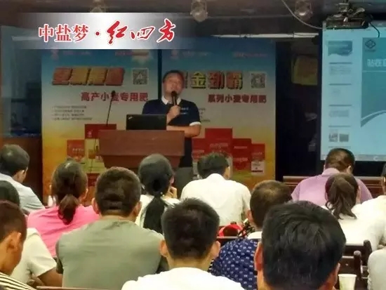我将在茶区和果区大力推广红四方肥料，我要在名山做大做强红四方。