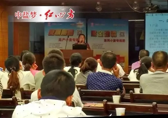 陕西宝鸡王洁激动地分享了她的经验和心得