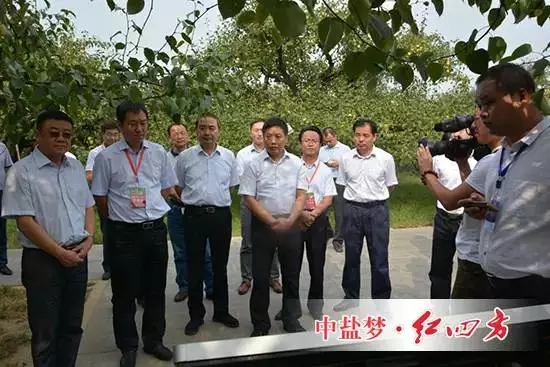 他们走进“数字果园”梨树王示范点,走进中盐红四方肥料试验示范园。 他们走进“数字果园”梨树王示范点,走进中盐红四方肥料试验示范园。