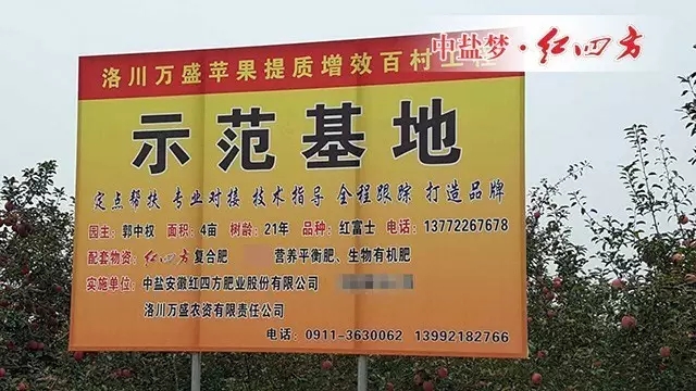 特色苹果示范基地