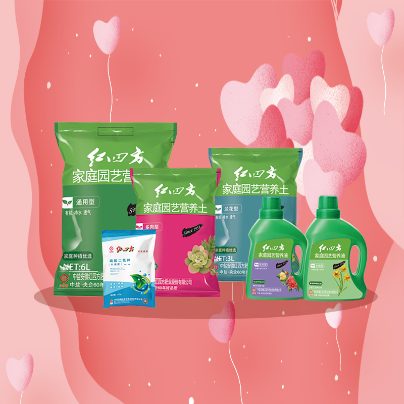 红四方园艺6·1活动 红四方园艺6·1活动